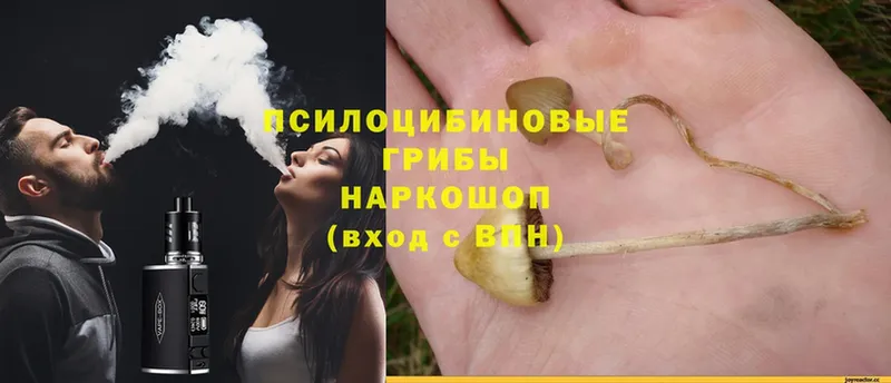 KRAKEN зеркало  Гдов  Псилоцибиновые грибы Magic Shrooms 